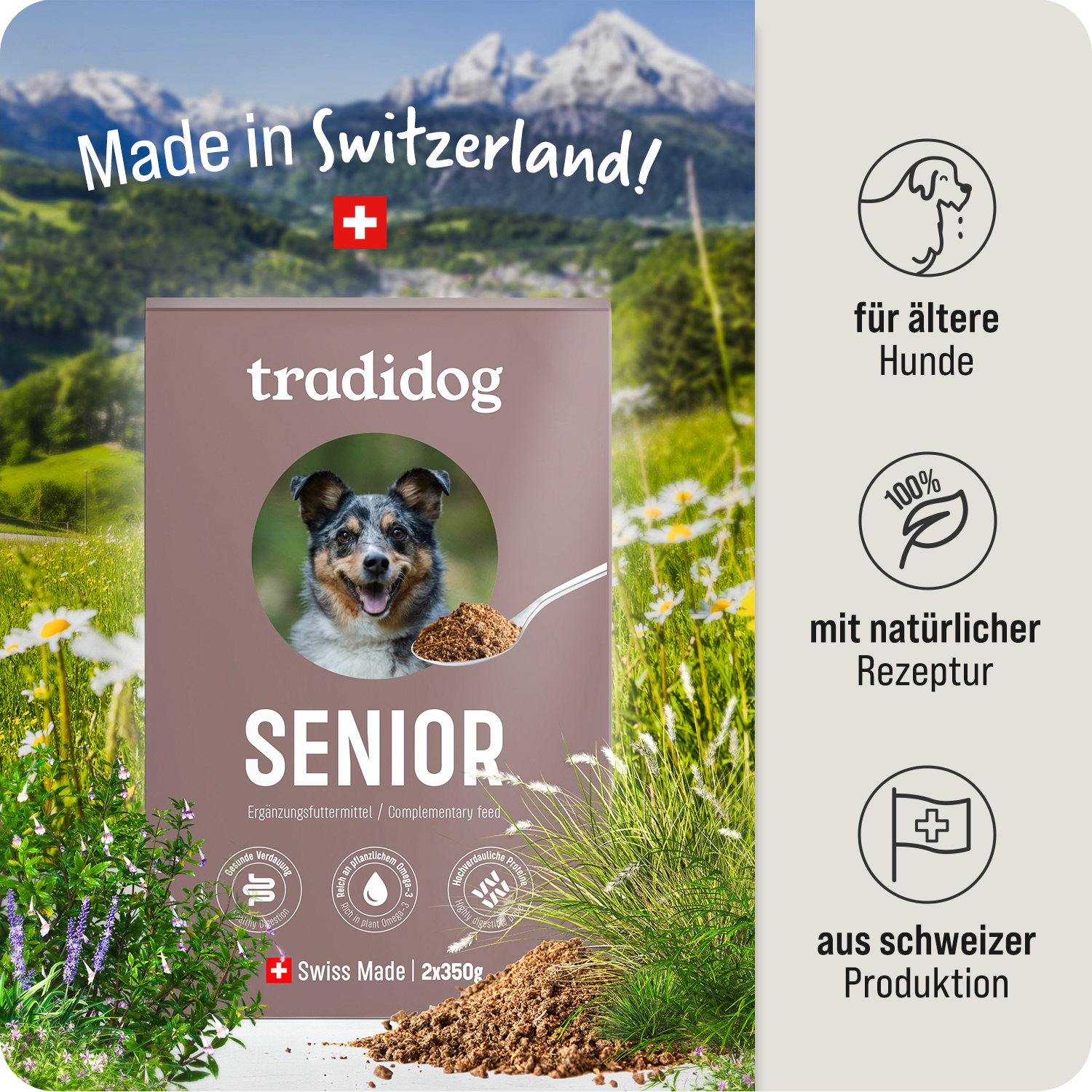 Starter Set - SENIOR