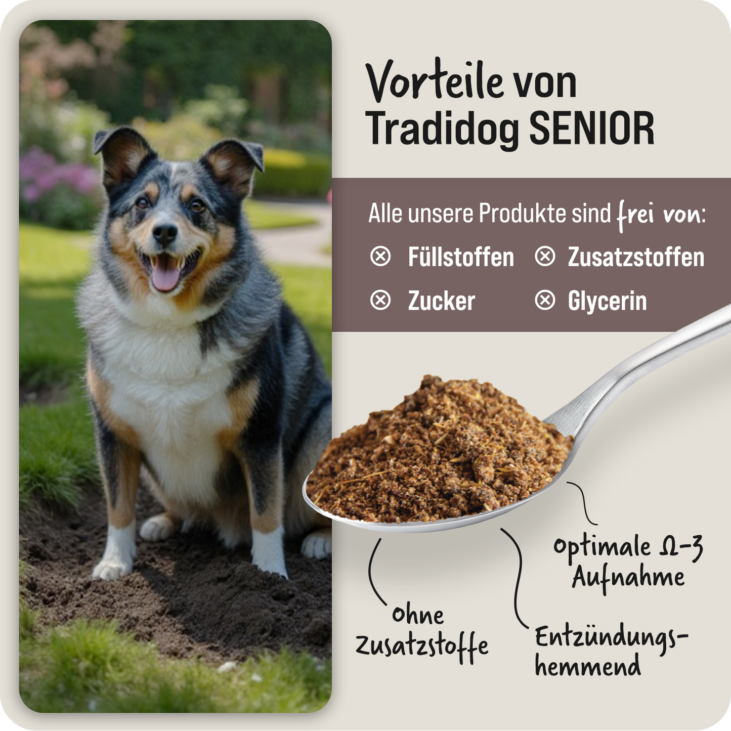 SENIOR